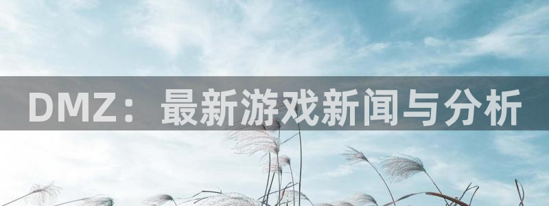 极悦娱乐娱乐：DMZ：最新游戏新闻与分析