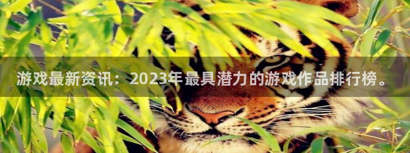 极悦娱乐4开户：游戏最新资讯：2023年最具潜力的游戏作品排