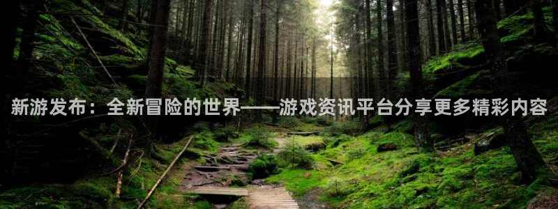 极悦娱乐网址官网：新游发布：全新冒险的世界——游戏资讯平台分