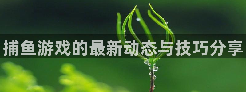 极悦娱乐官方平台