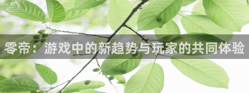 极悦娱乐注册官方登录app