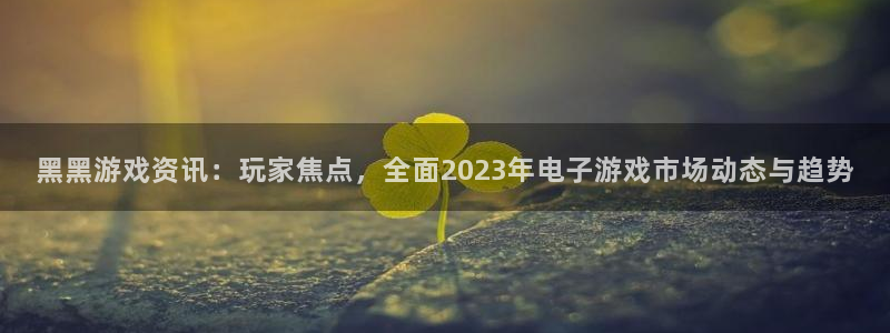 极悦娱乐平台官网注册：黑黑游戏资讯：玩家焦点，全面2023年
