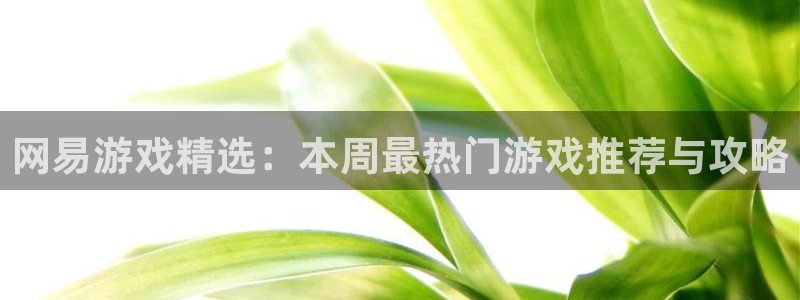 极悦娱乐平台官网客服电话：网易游戏精选：本周最热门游戏推荐与