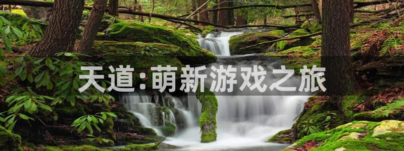 极悦娱乐app下载地址:天道:萌新游戏之旅