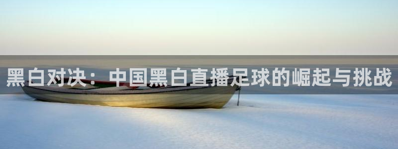 jrkan直播nba：黑白对决：中国黑白直播足球的崛起与挑战