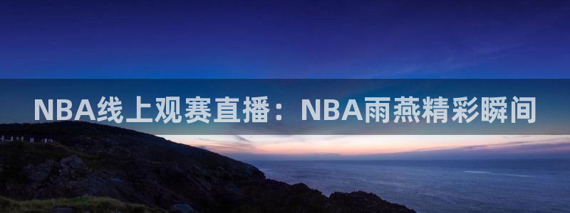 jr看球网直播nba：NBA线上观赛直播：NBA雨燕精彩瞬间